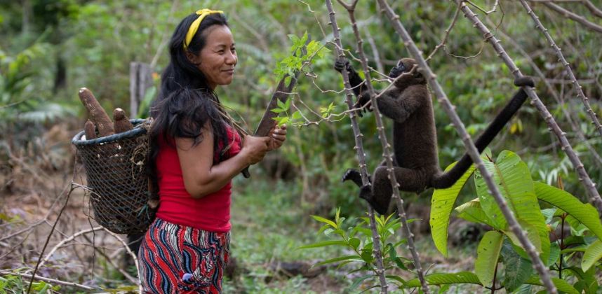 Xustiza Socioambiental