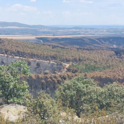 ramón incendios